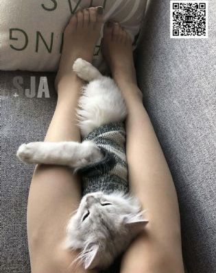 梦想三国原版电视剧在线观看免费