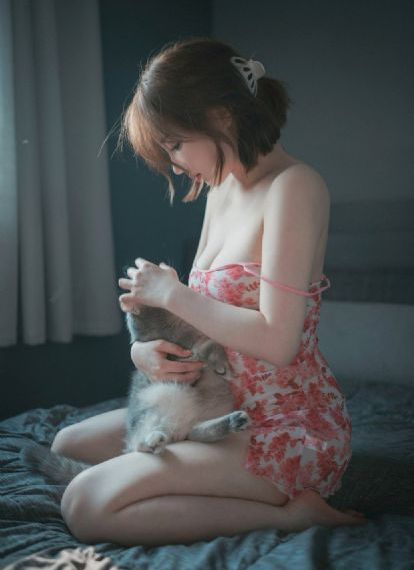 历史是一群喵动画全集
