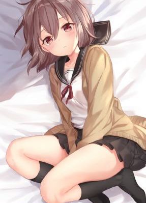 男女插孔