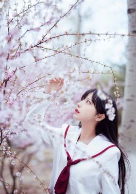 黑道大佬的三百六十天