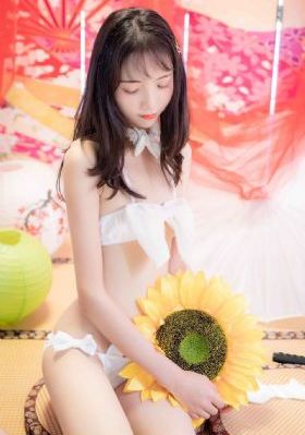 锦衣卫之下电视剧免费观看完整版